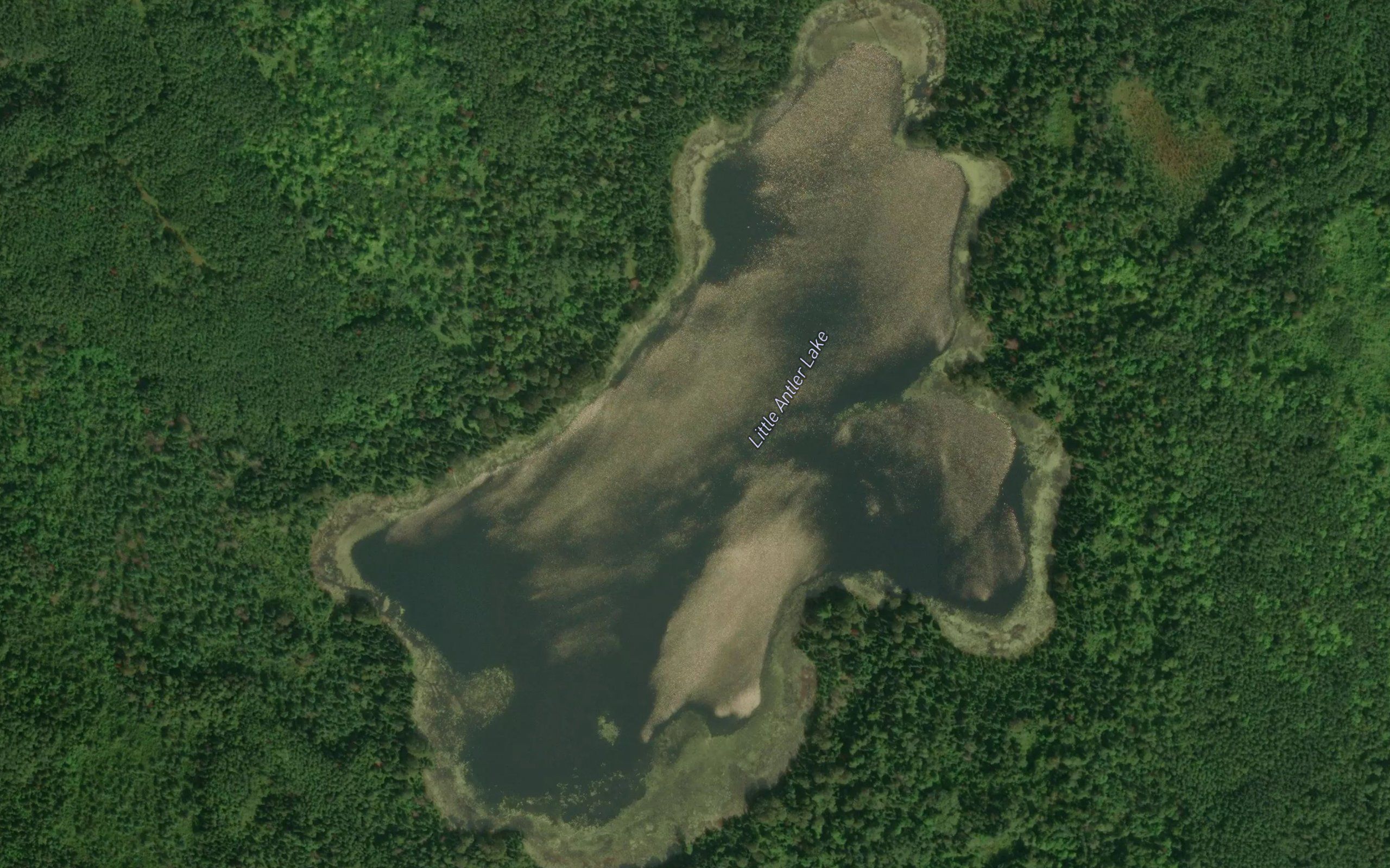 Little Antler Lake