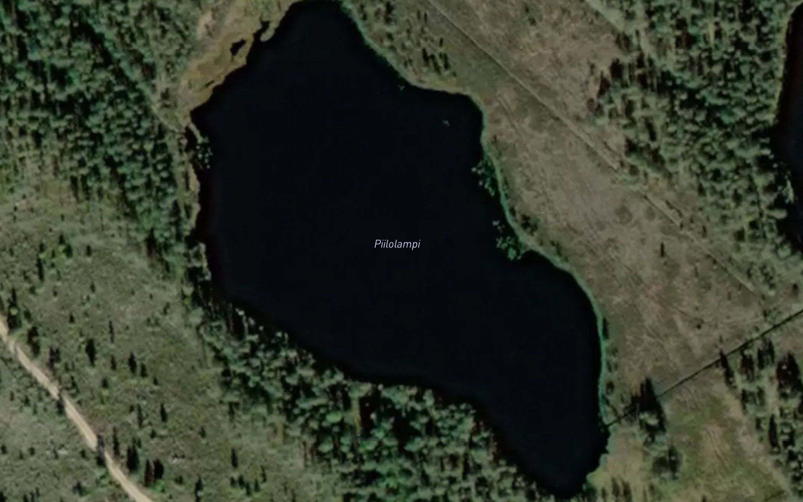 Piilolampi