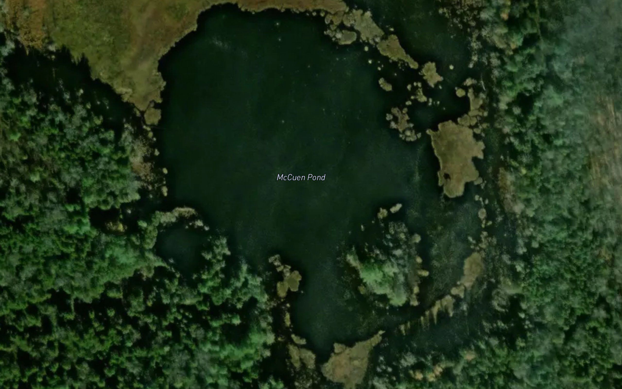 McCuen Pond