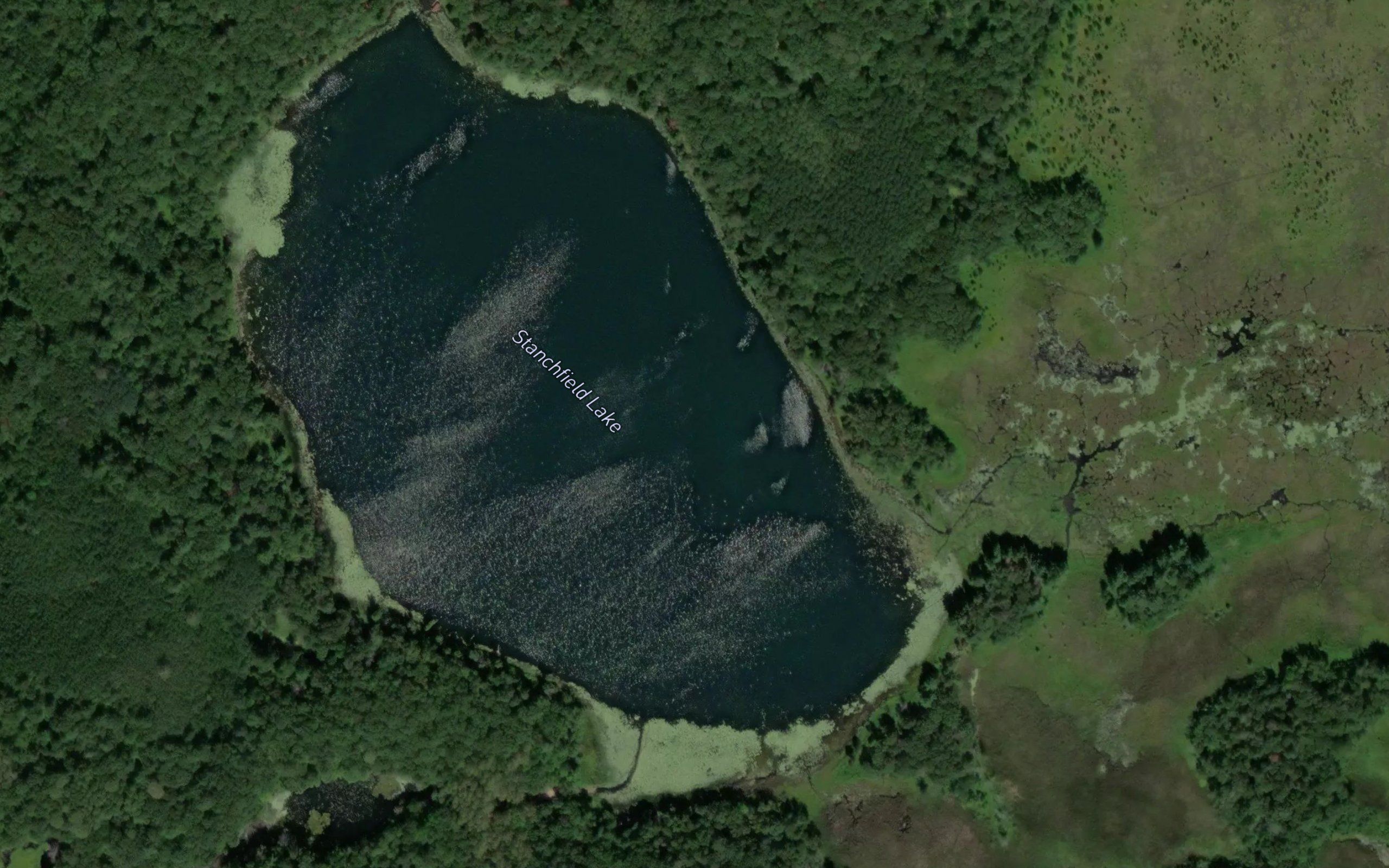 Stanchfield Lake