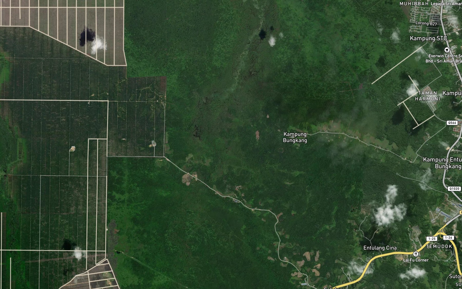 Satellite map of the Sungai Bedil