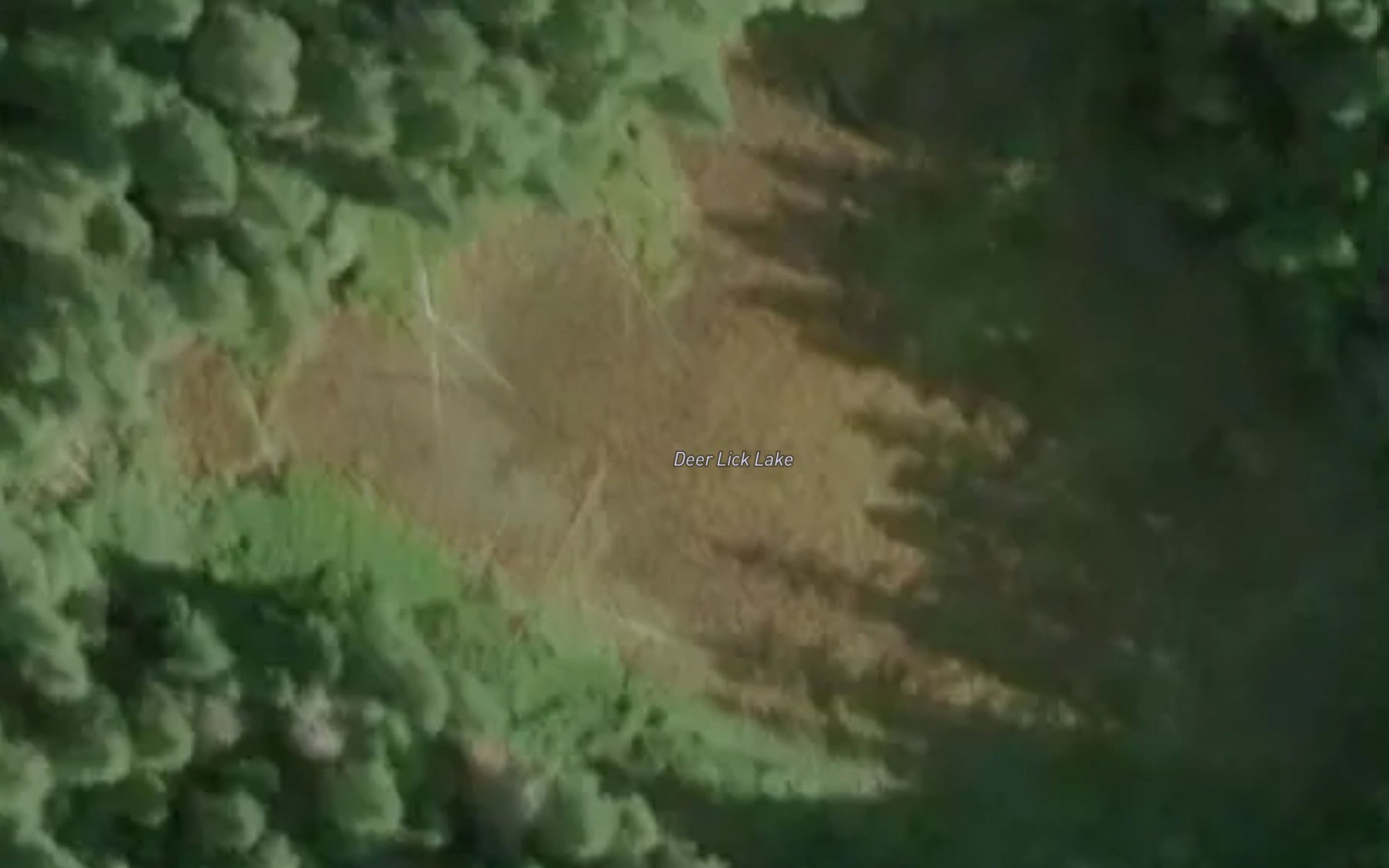 Satellite map of the Deer Lick Lake