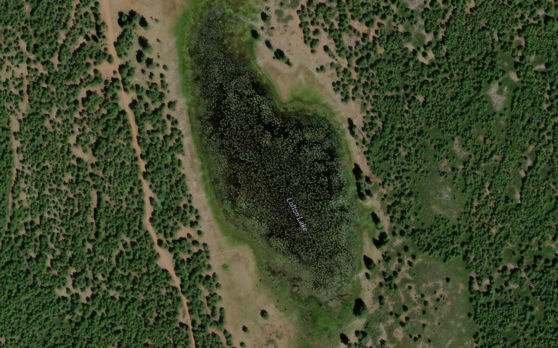 Satellite map of the Lofton Lake