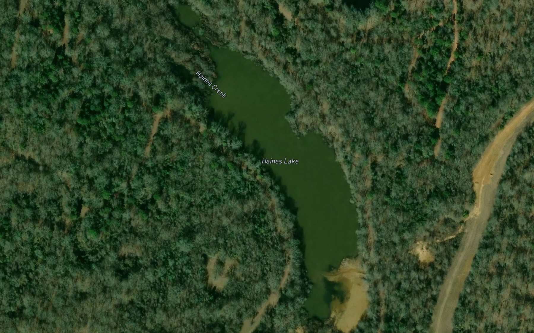 Satellite map of the Haines Lake