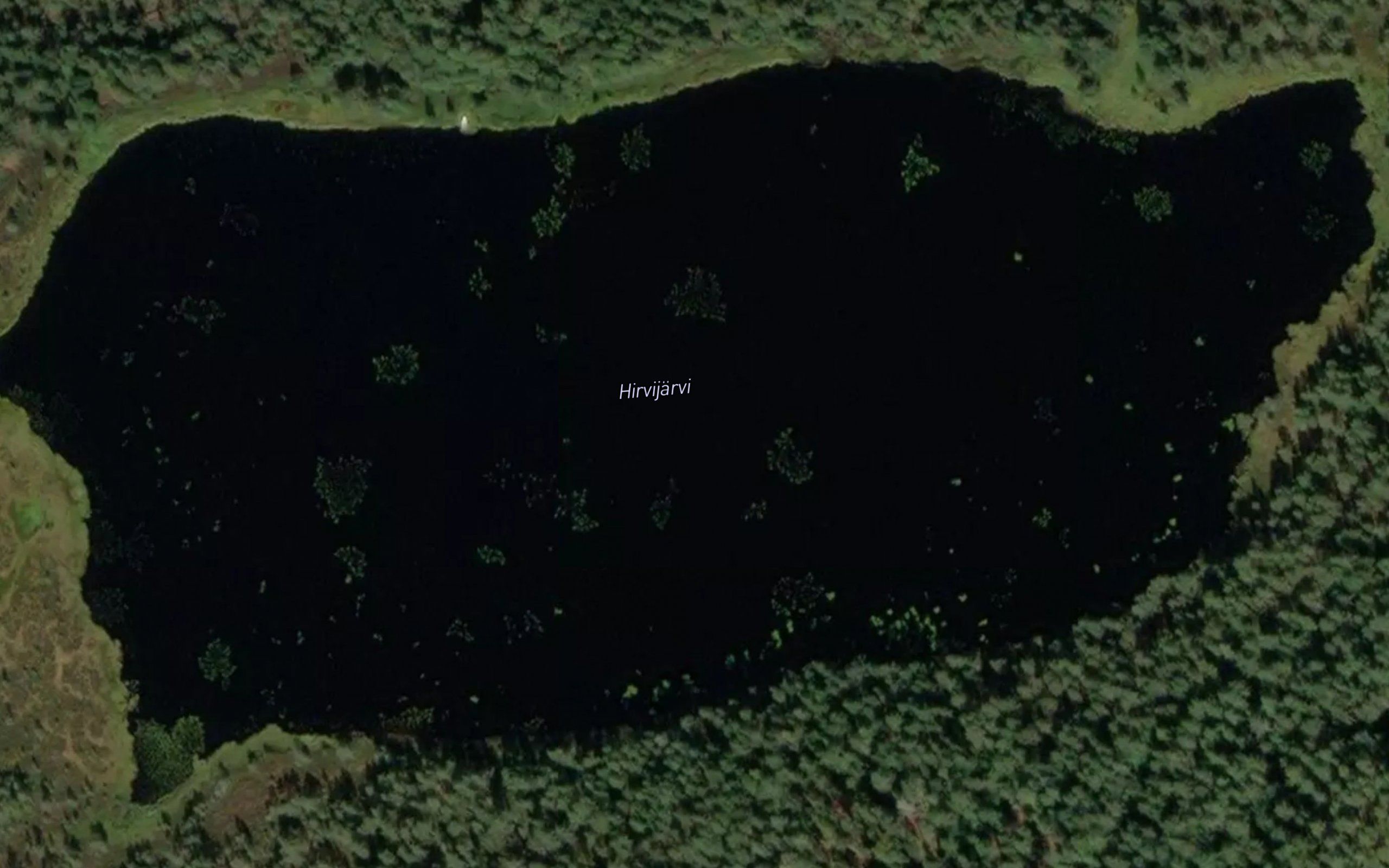 Hirvijarvi