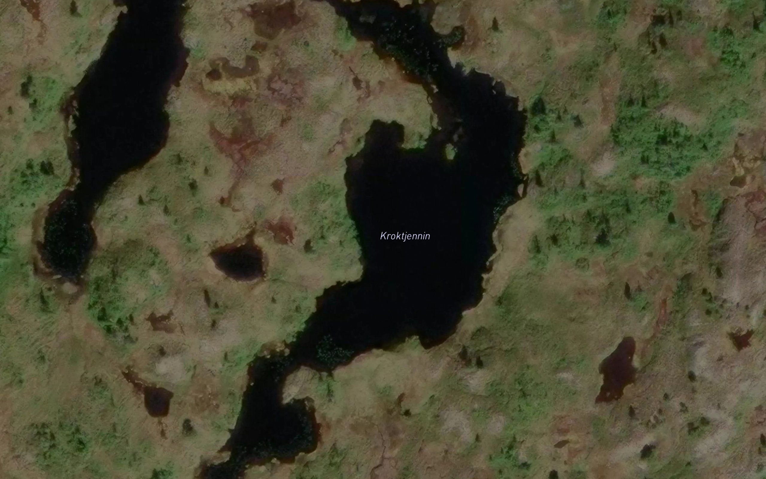 Kroktjorna