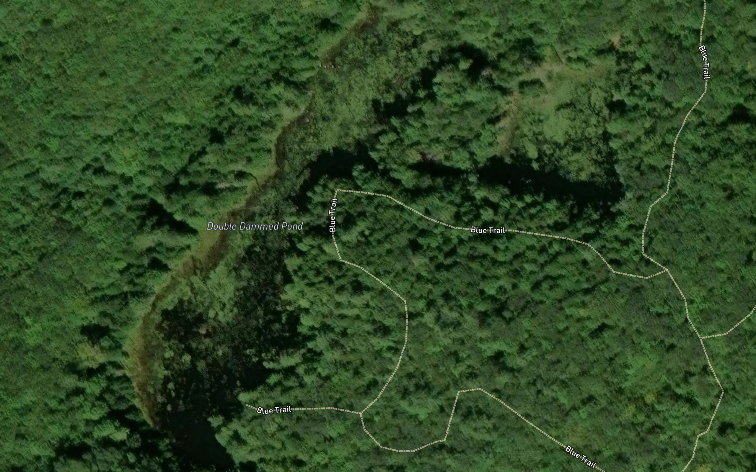 Double Dammed Pond