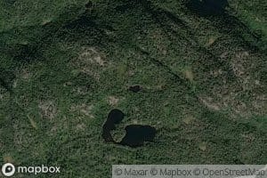 Lille Storfjelltjenna