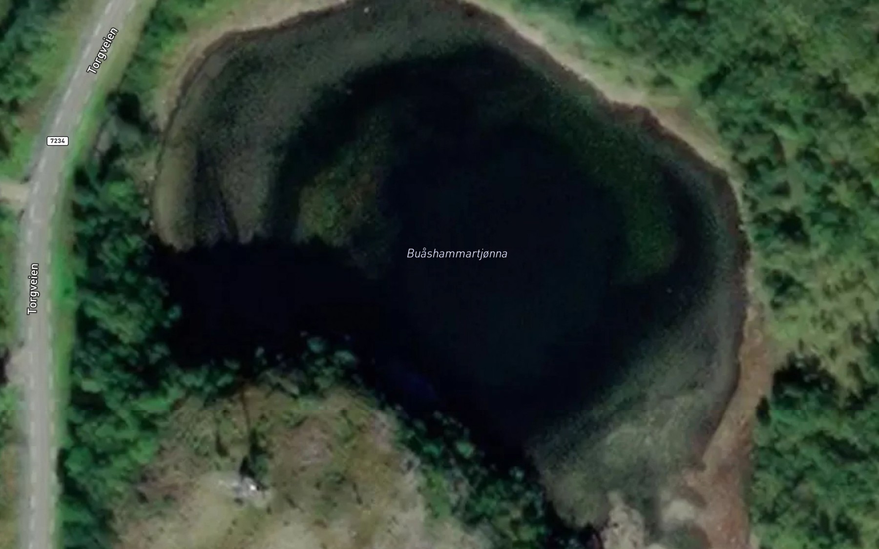 Satellite map of the Buashammartjonna
