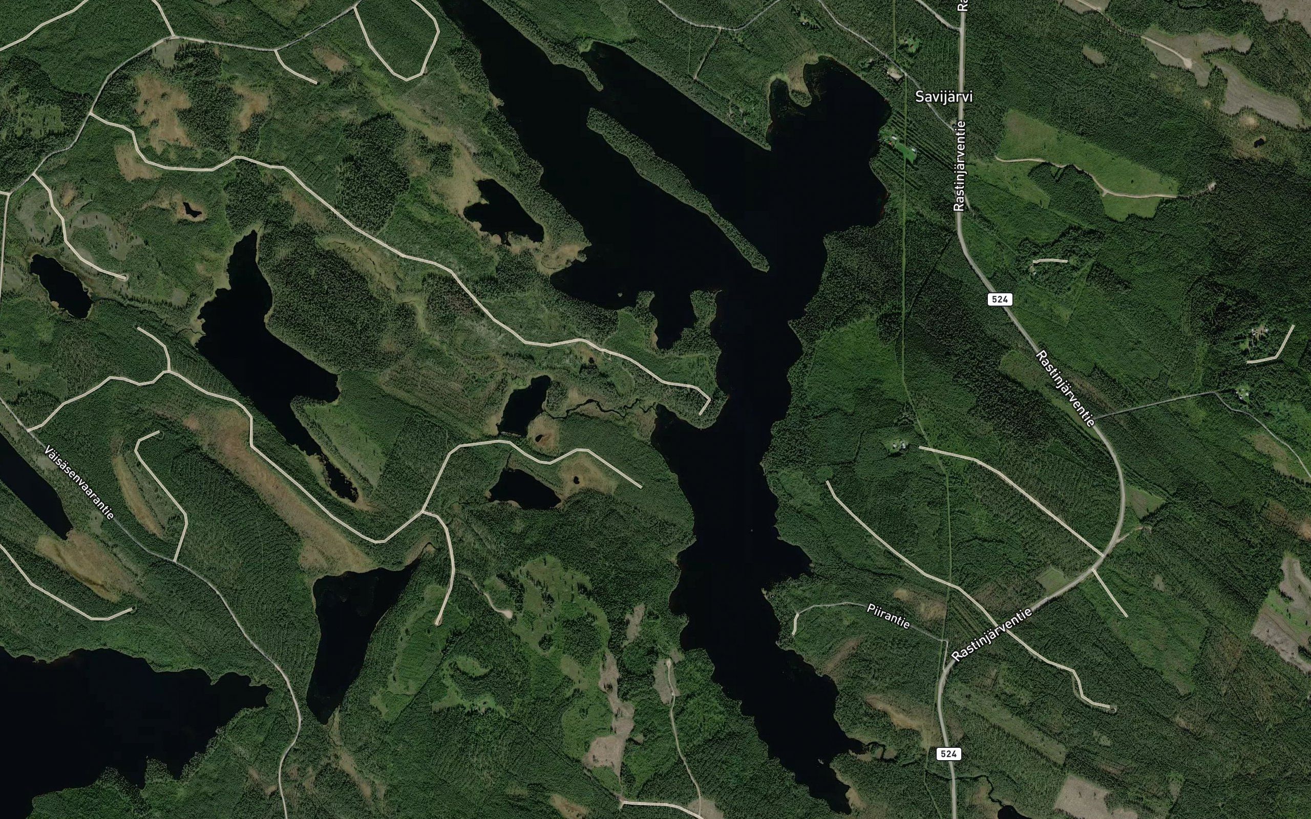 Riihijoki