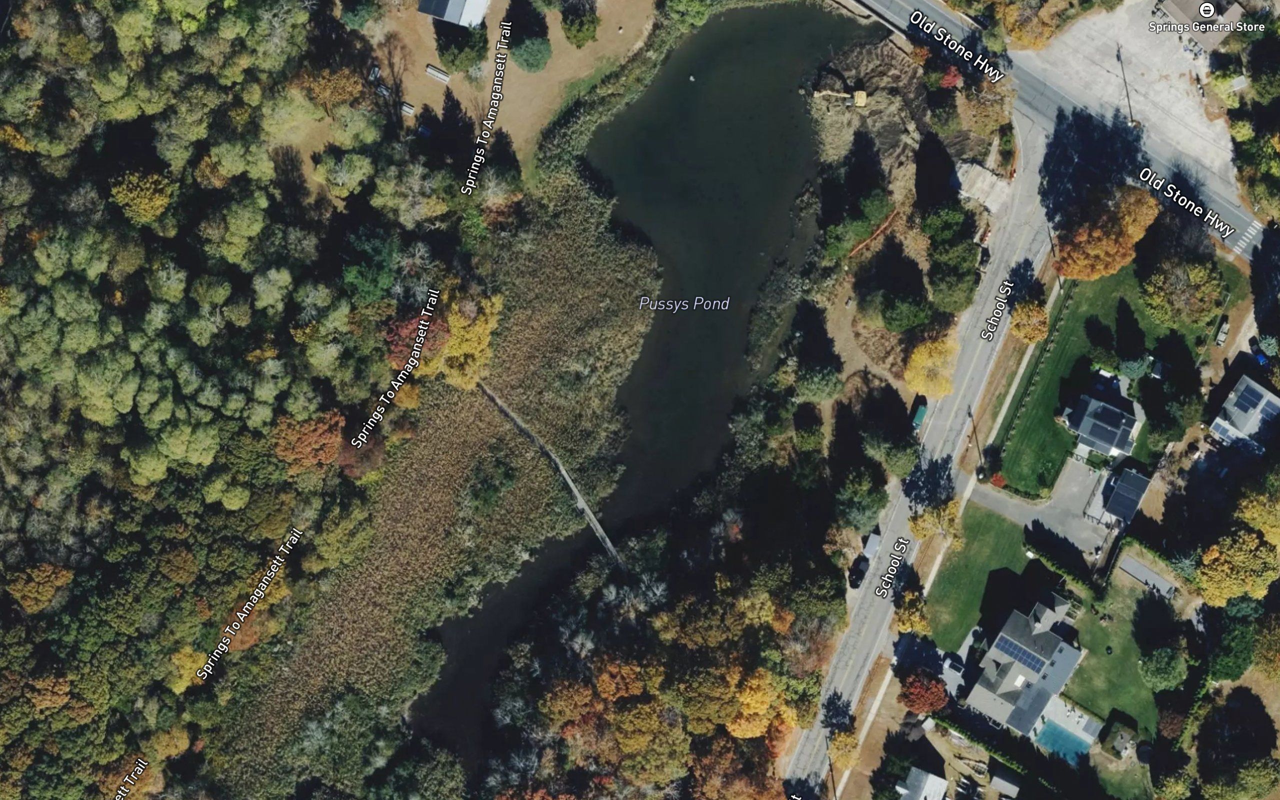 Pussys Pond