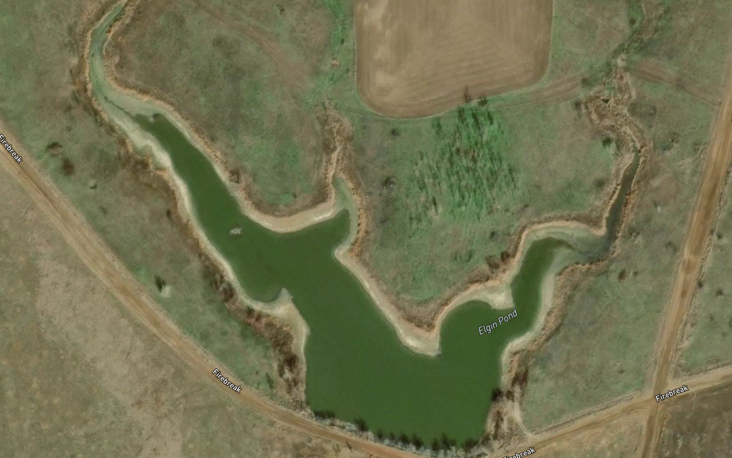 Elgin Pond