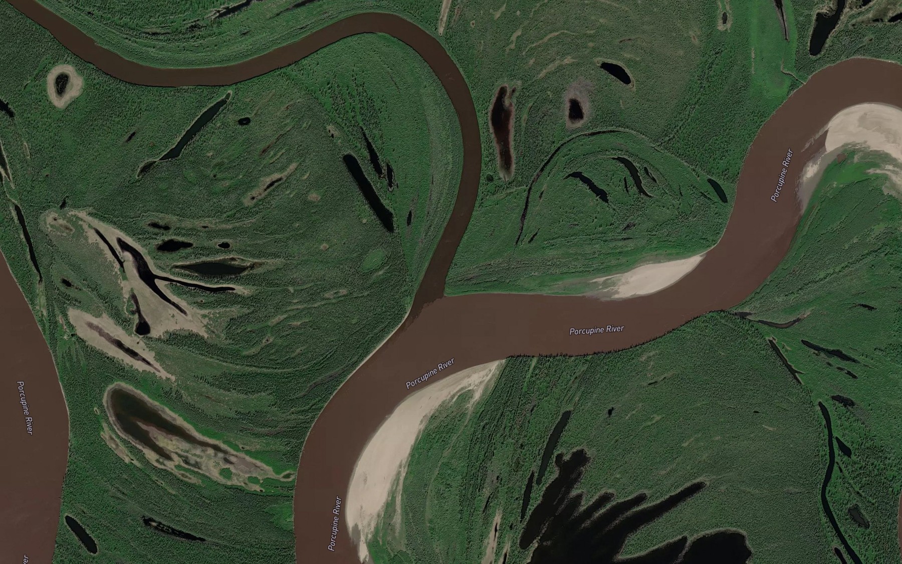 Satellite map of the Curtis Slough