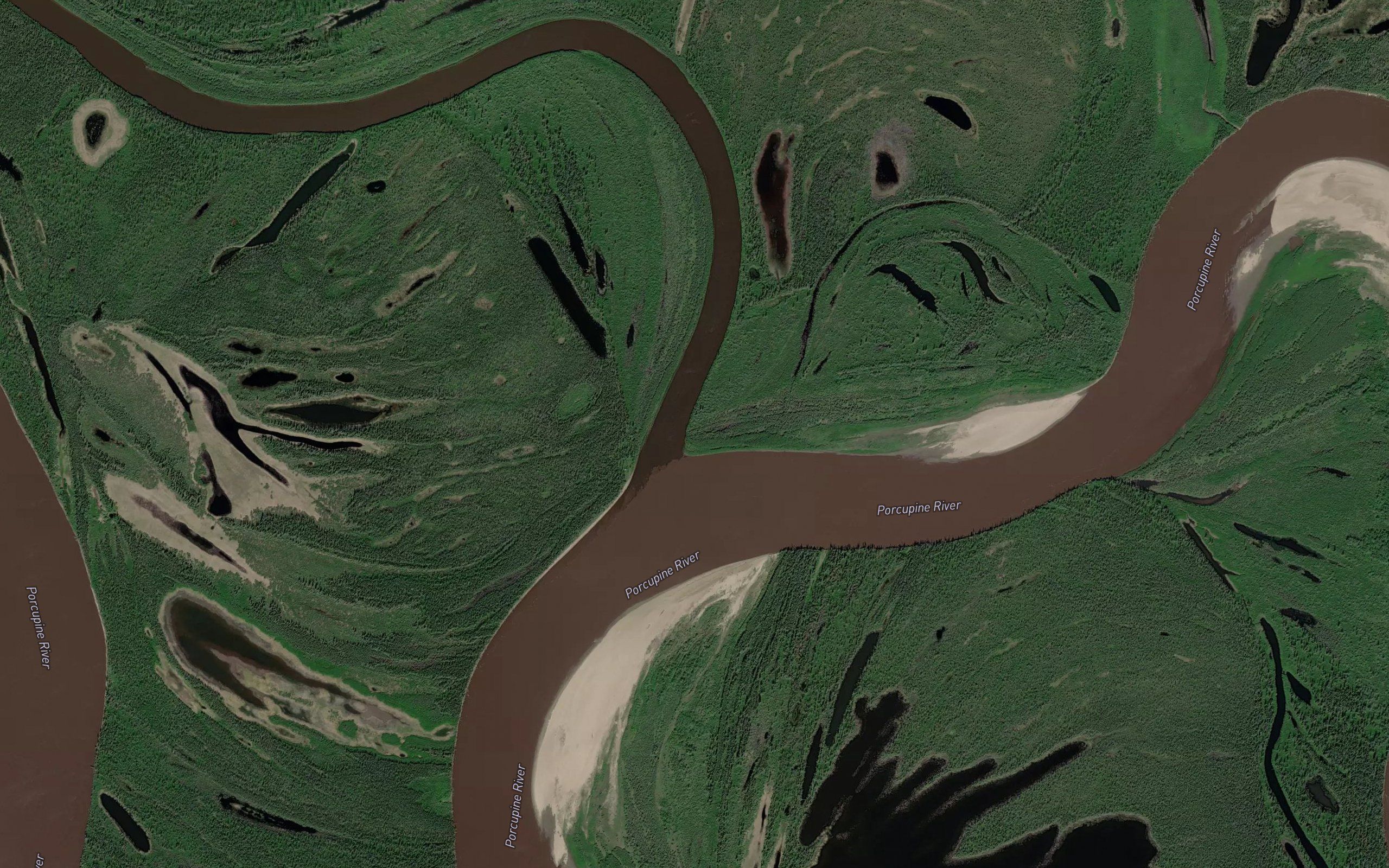 Curtis Slough