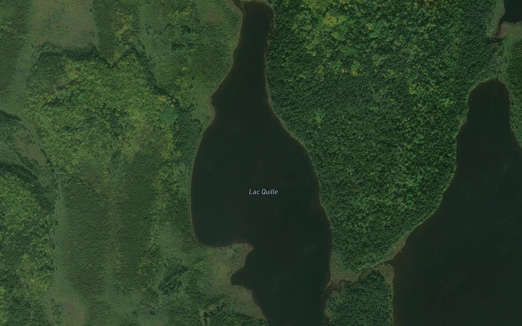 Satellite map of the Lac Quille
