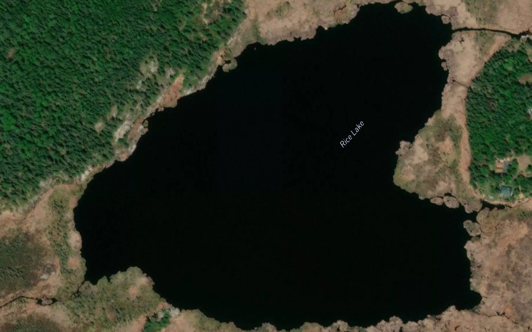 Satellite map of the Rice Lake