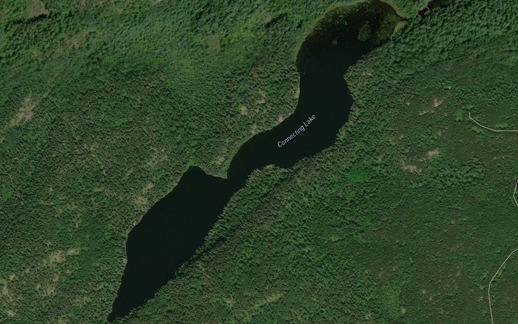 Satellite map of the Connecting Lake