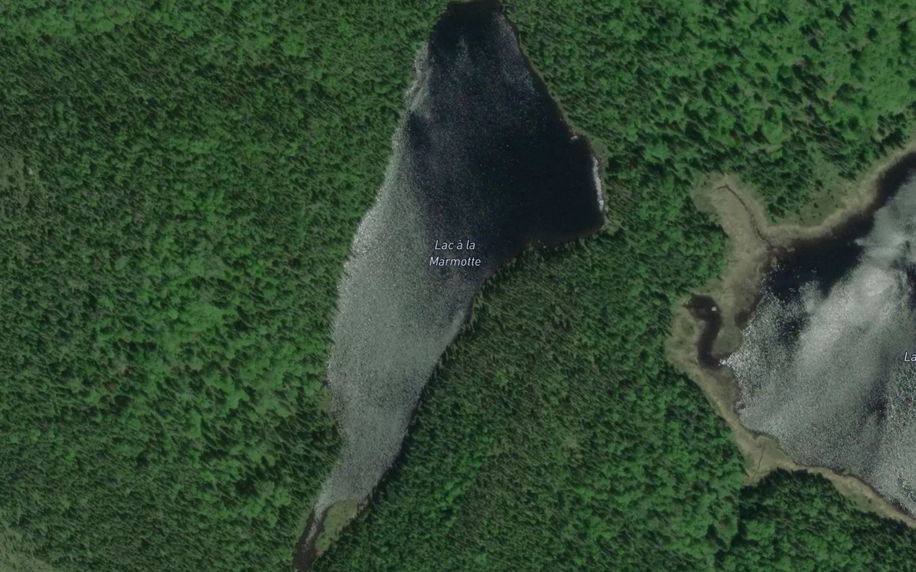Satellite map of the Lac a la Marmotte