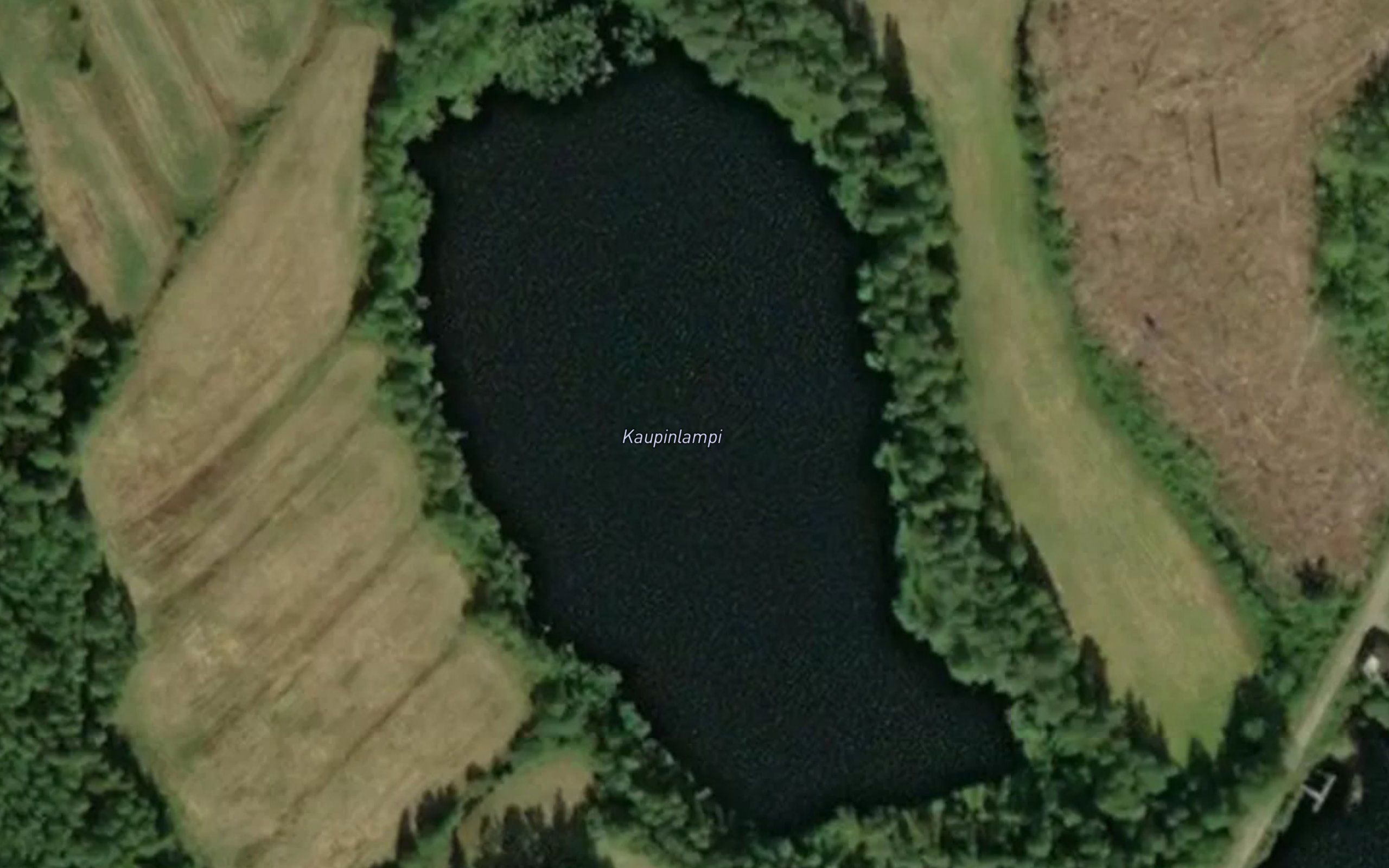 Kaupinlampi