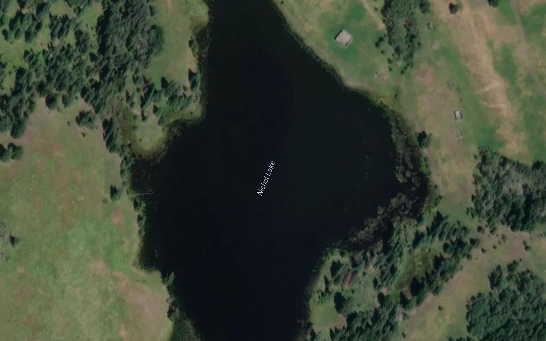 Satellite map of the Nichol Lake