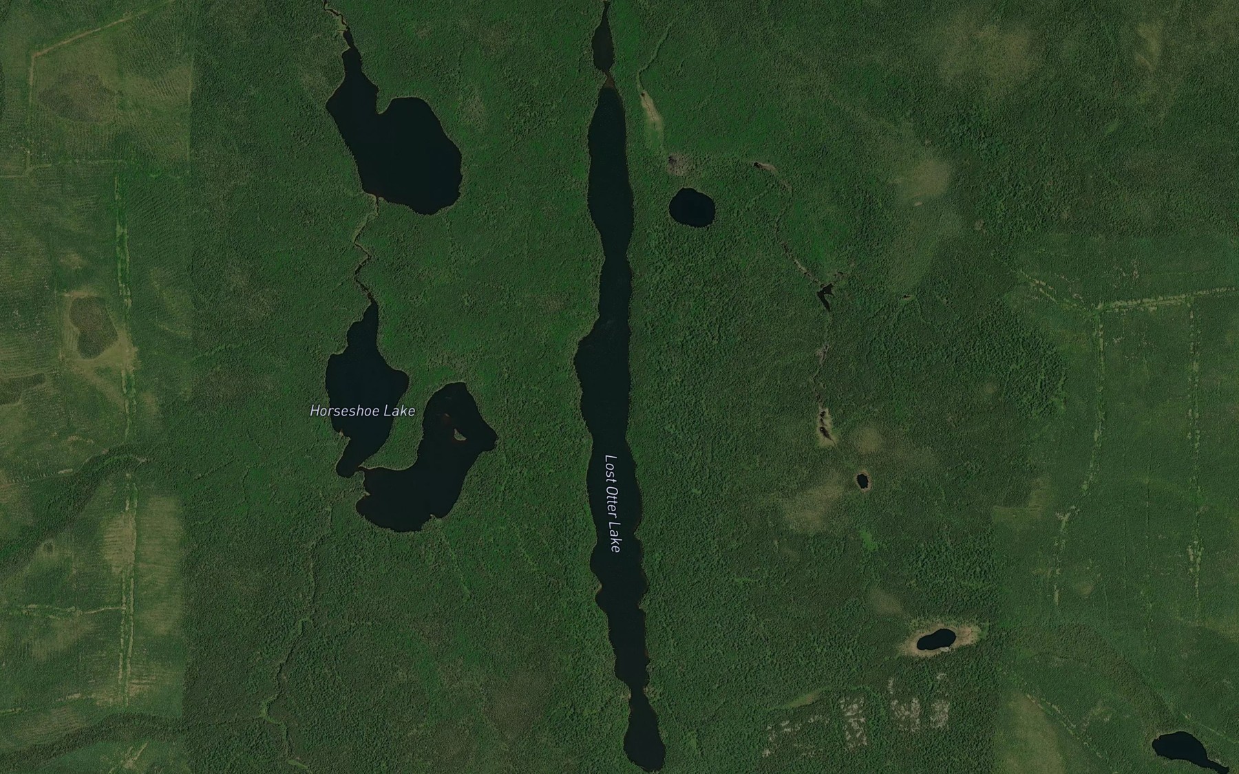 Satellite map of the Lost Otter Lake