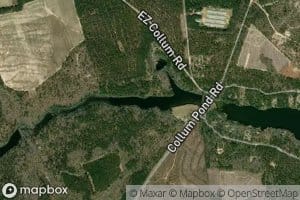 Collums Mill Pond Dam