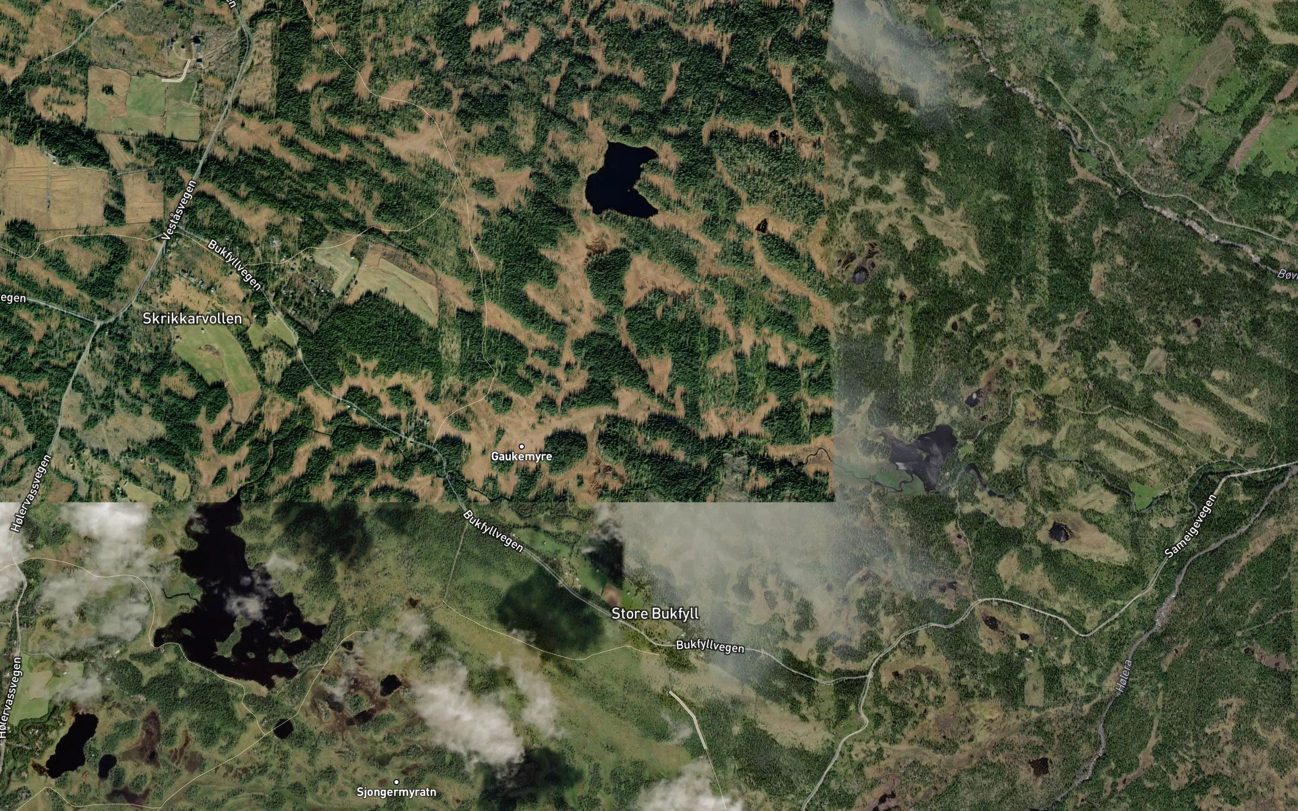 Kjeldemyrbekken