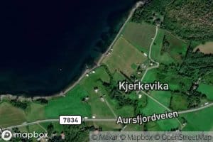 Kjerkevikelva