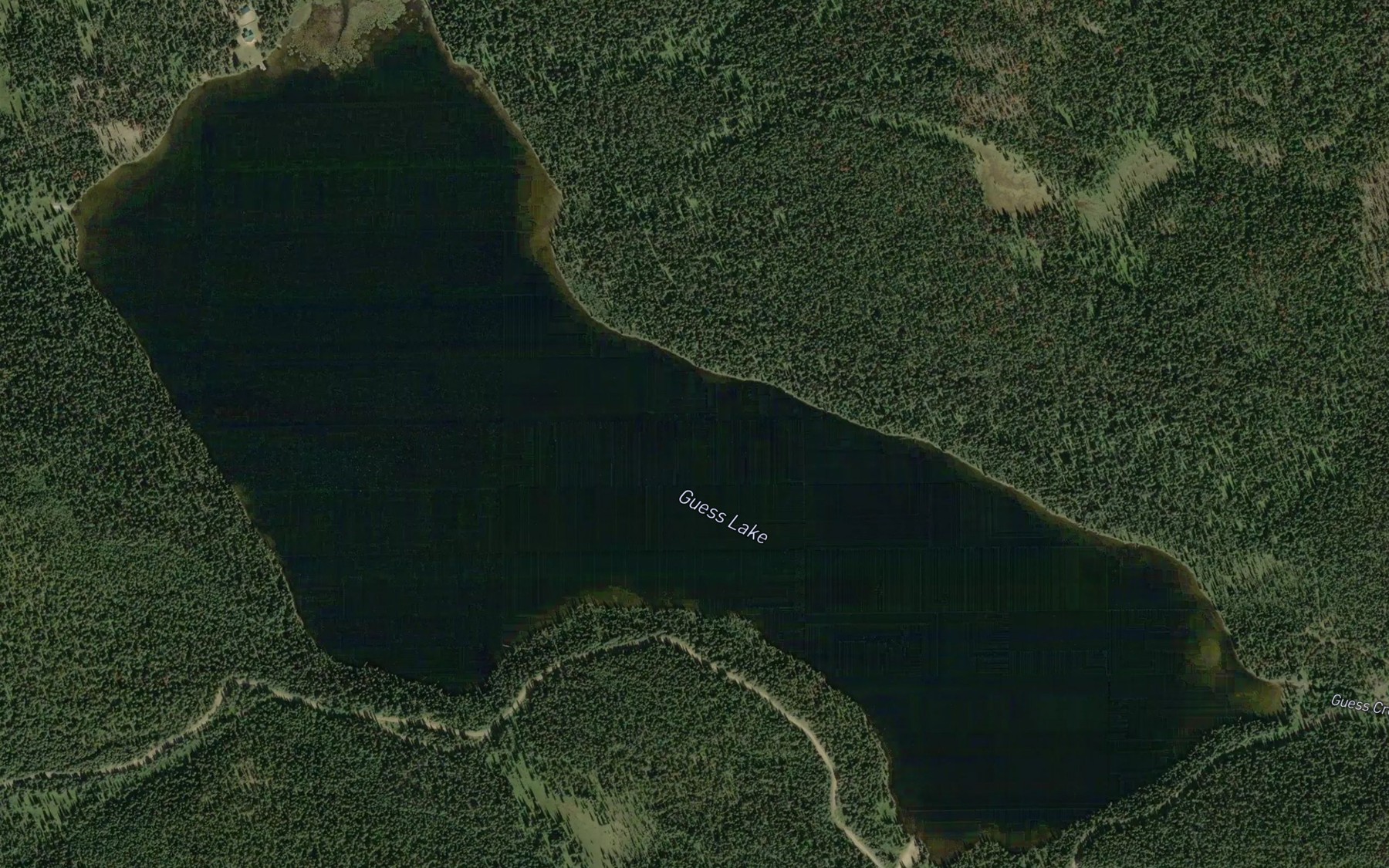 Satellite map of the Guess Lake
