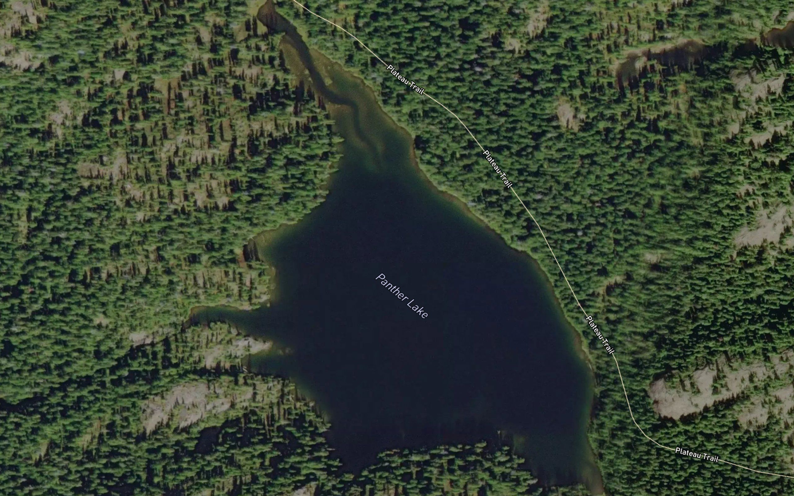 Panther Lake