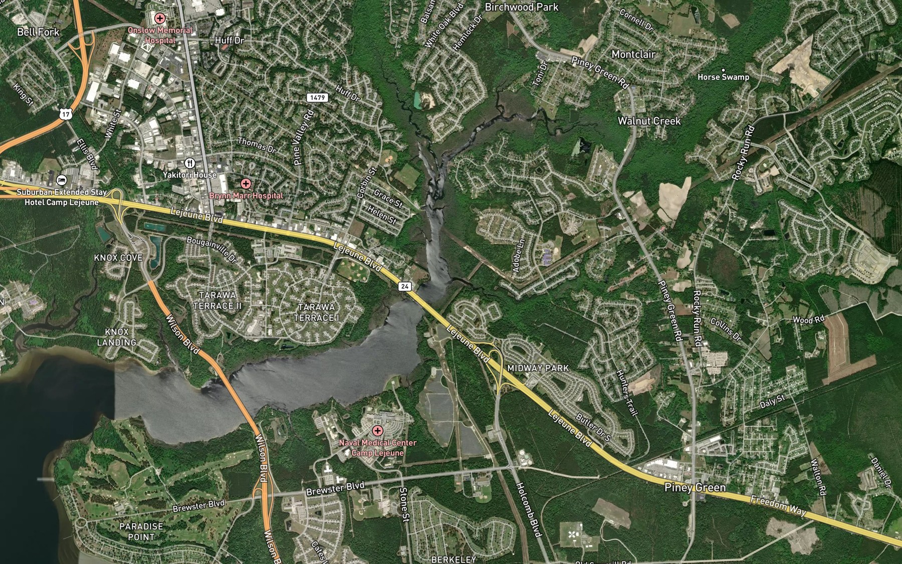 Satellite map of the Mott Creek
