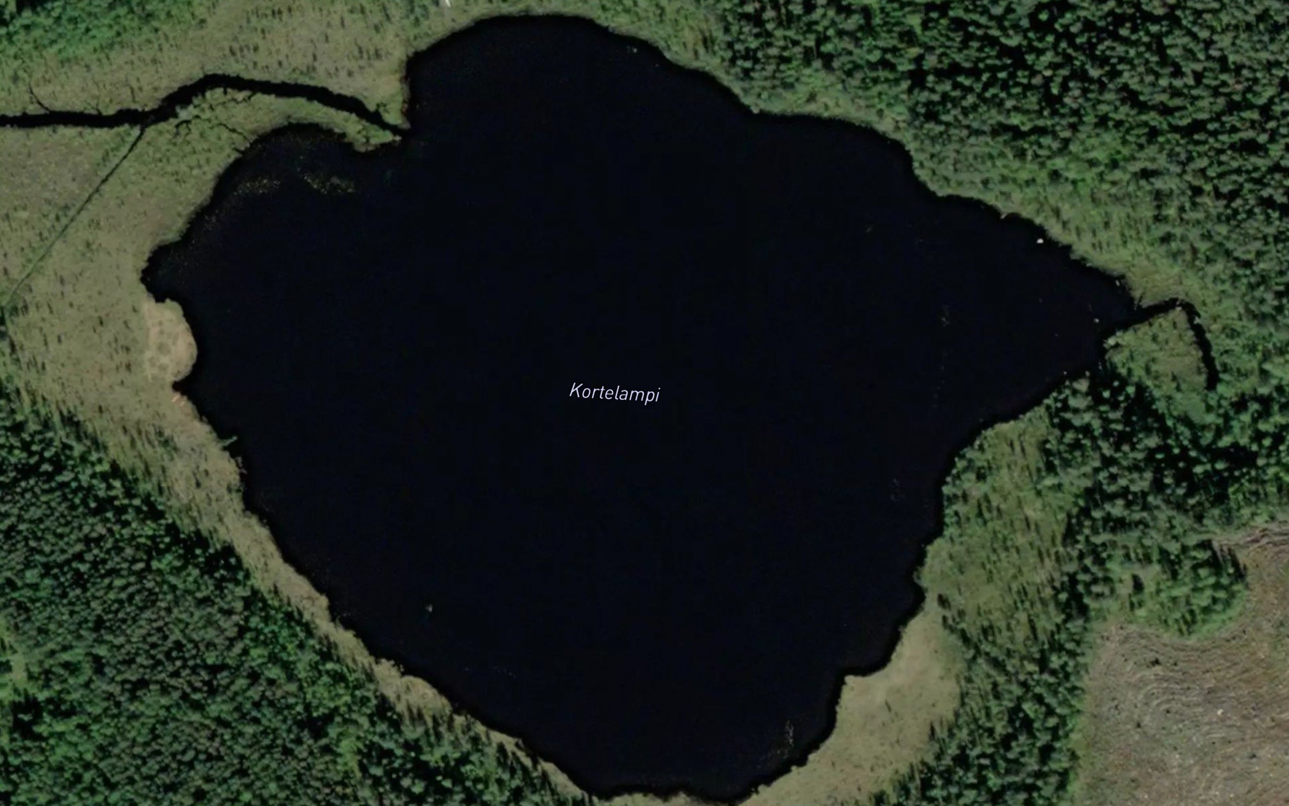 Kortelampi