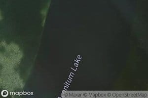 Aconitum Lake