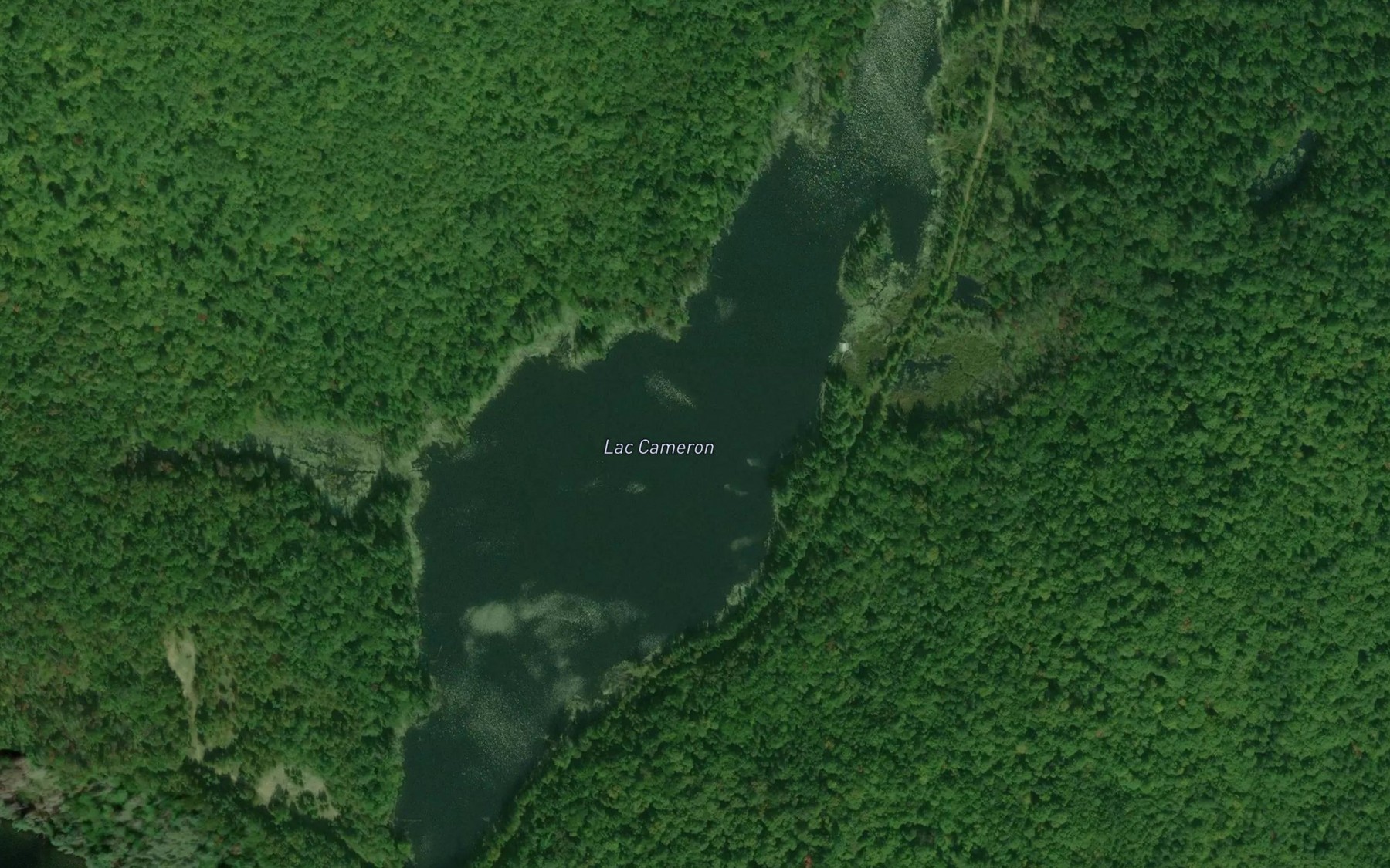Satellite map of the Lac Cameron