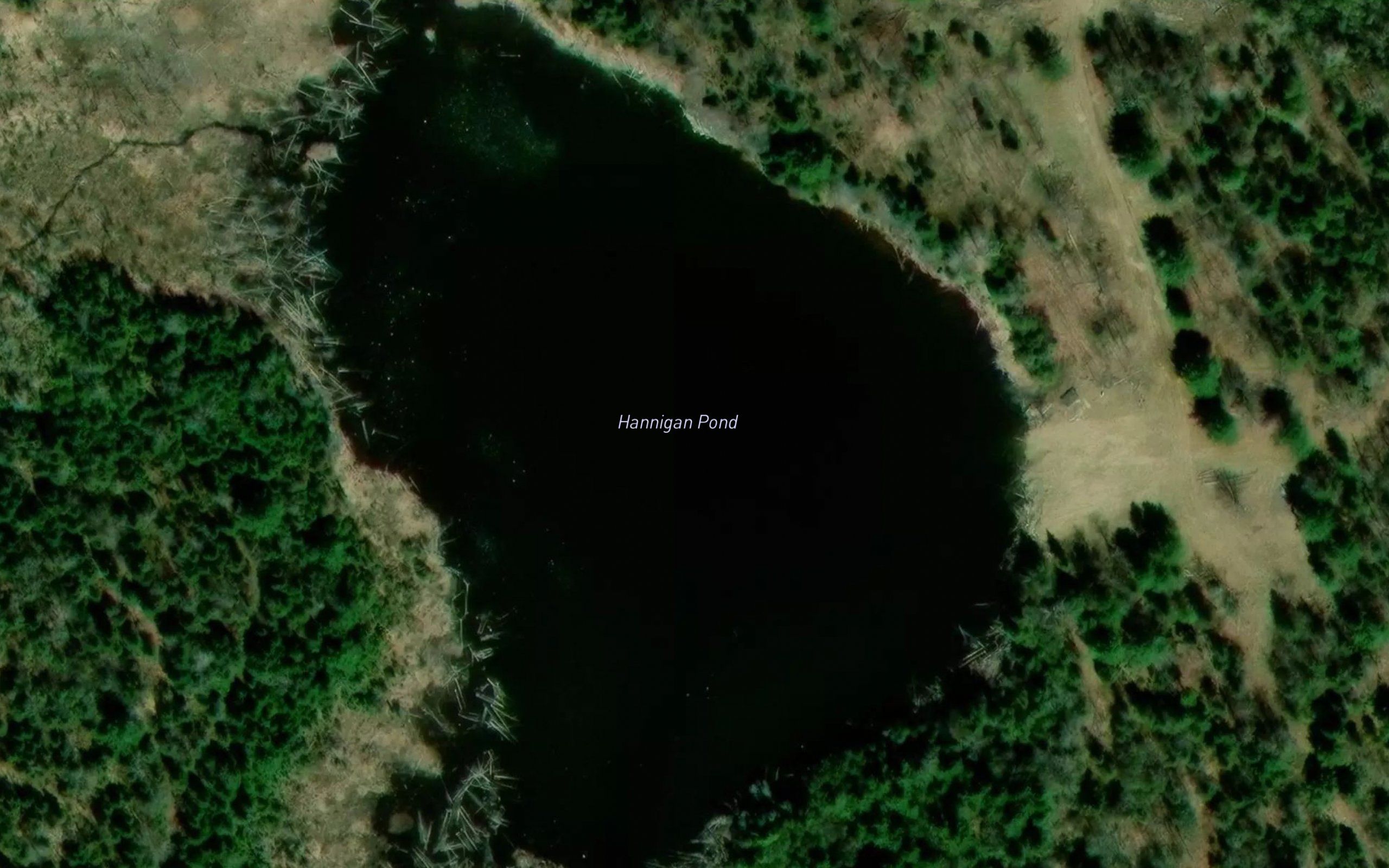 Hannigan Pond