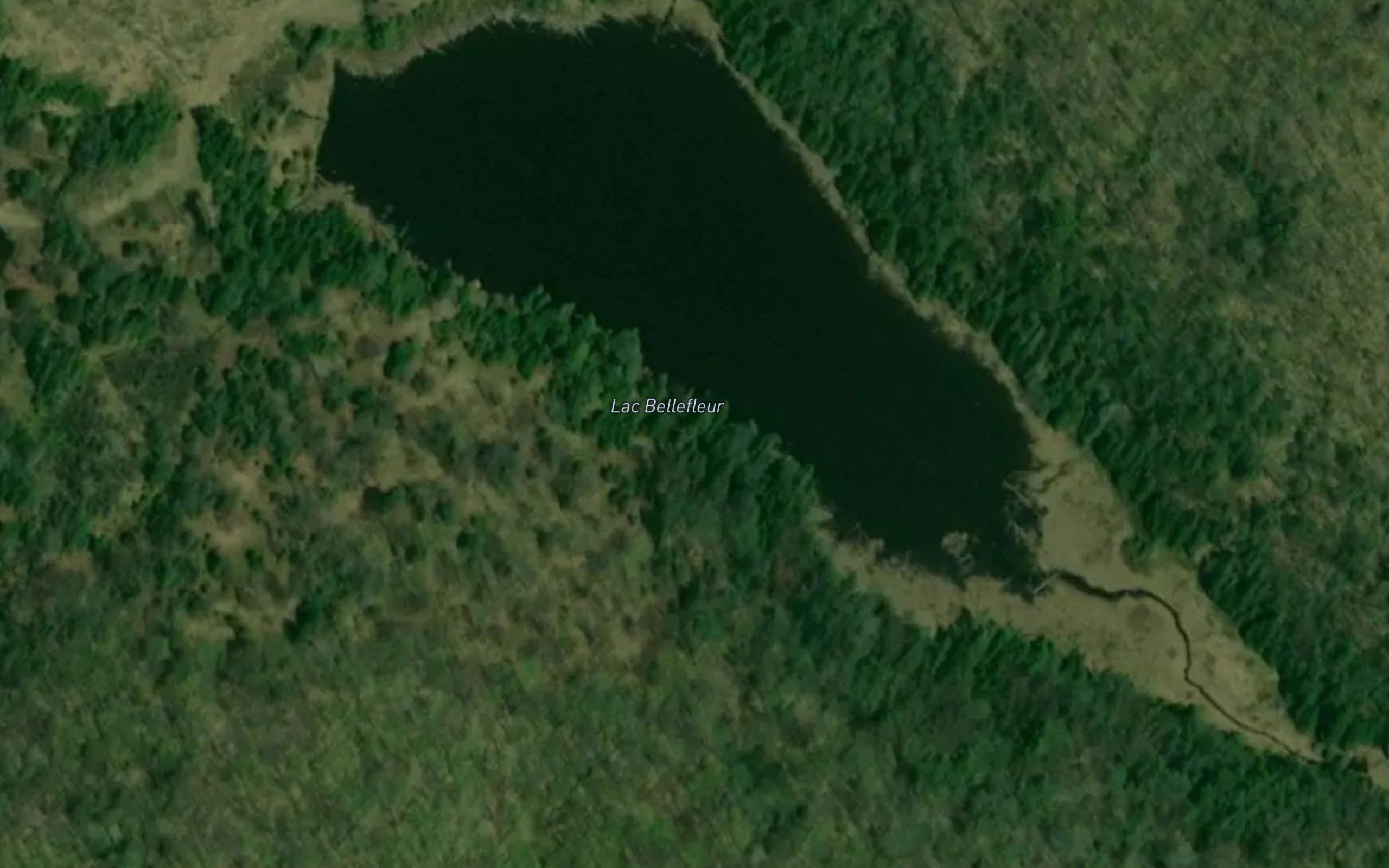 Lac Bellefleur