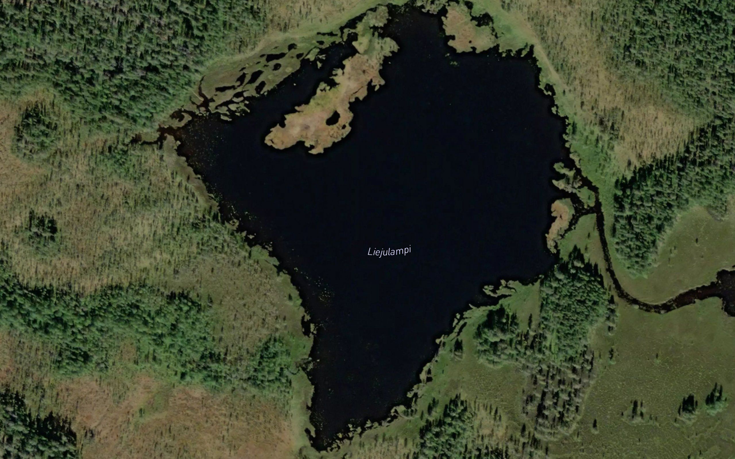 Liejulampi