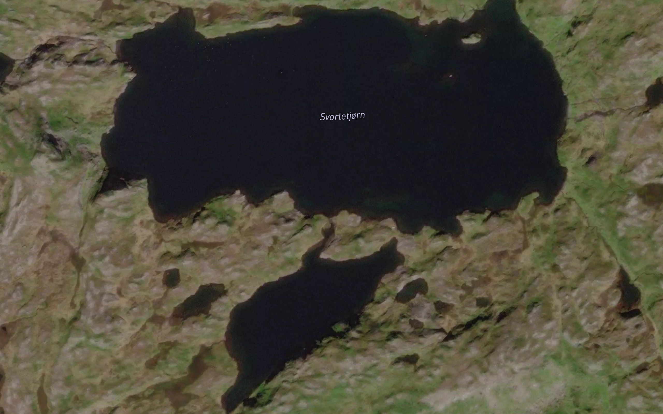 Svartavatnet