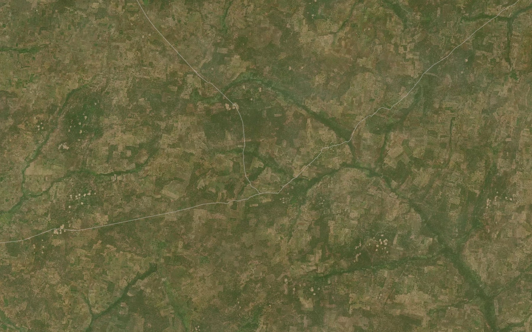 Satellite map of the River Timi