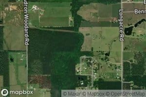 Hickory Hollow Branch