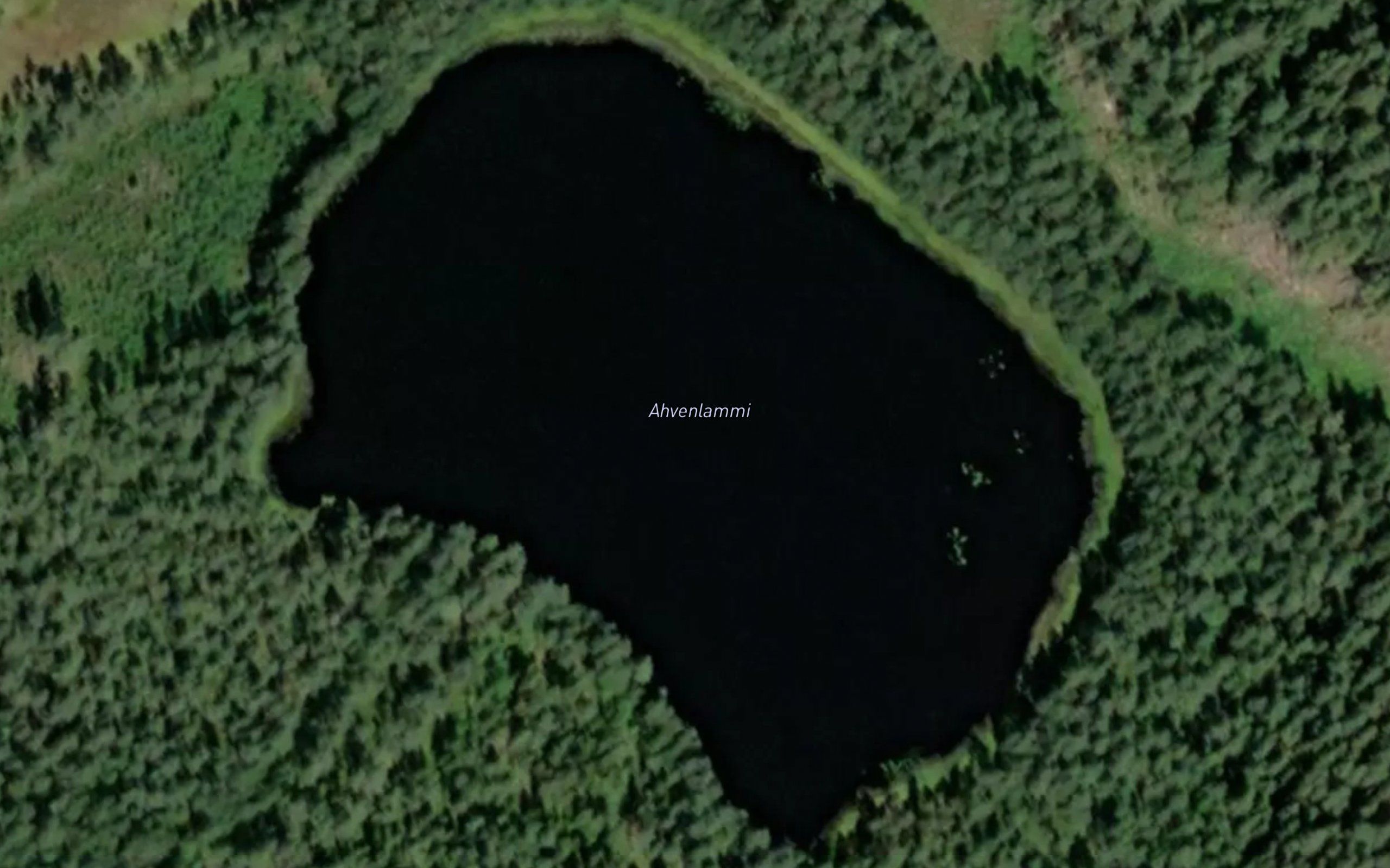 Ahvenlammi