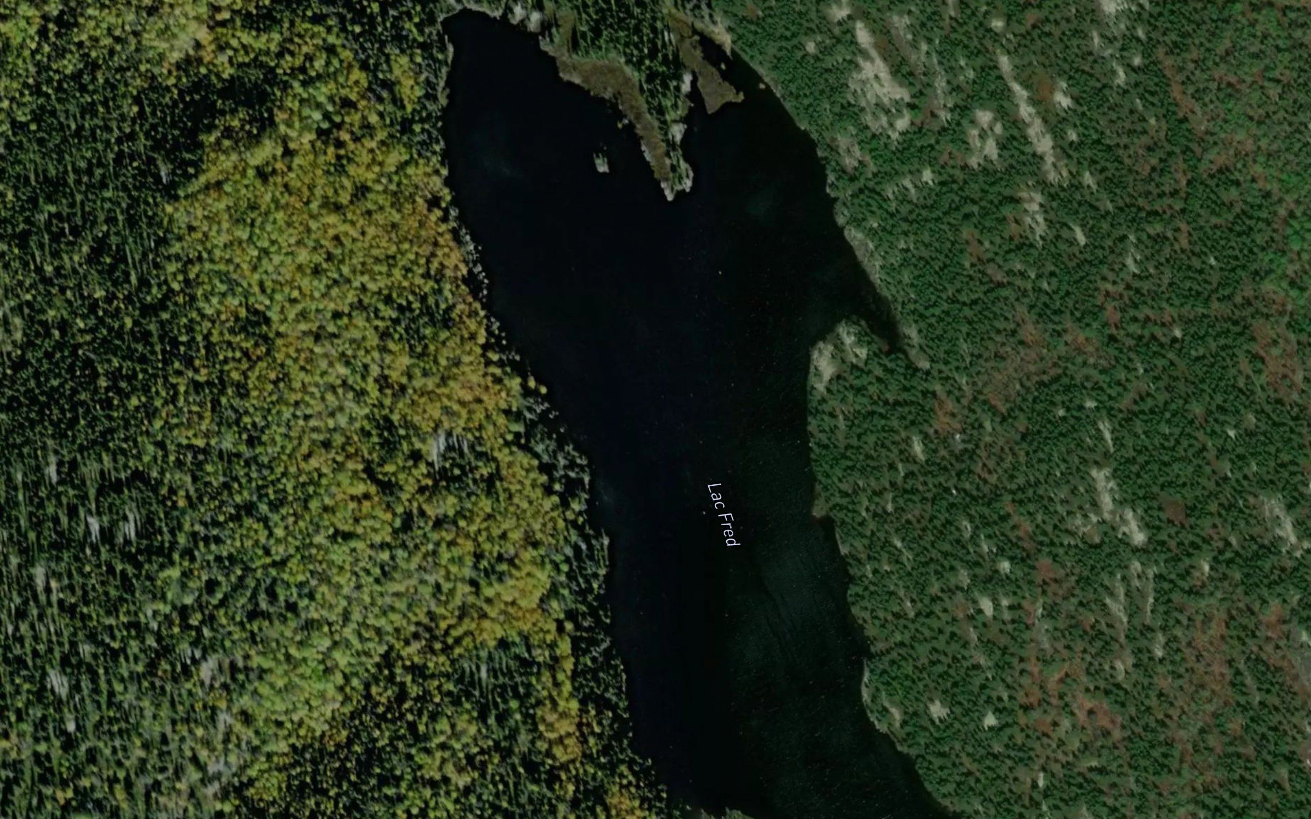 Lac Fred