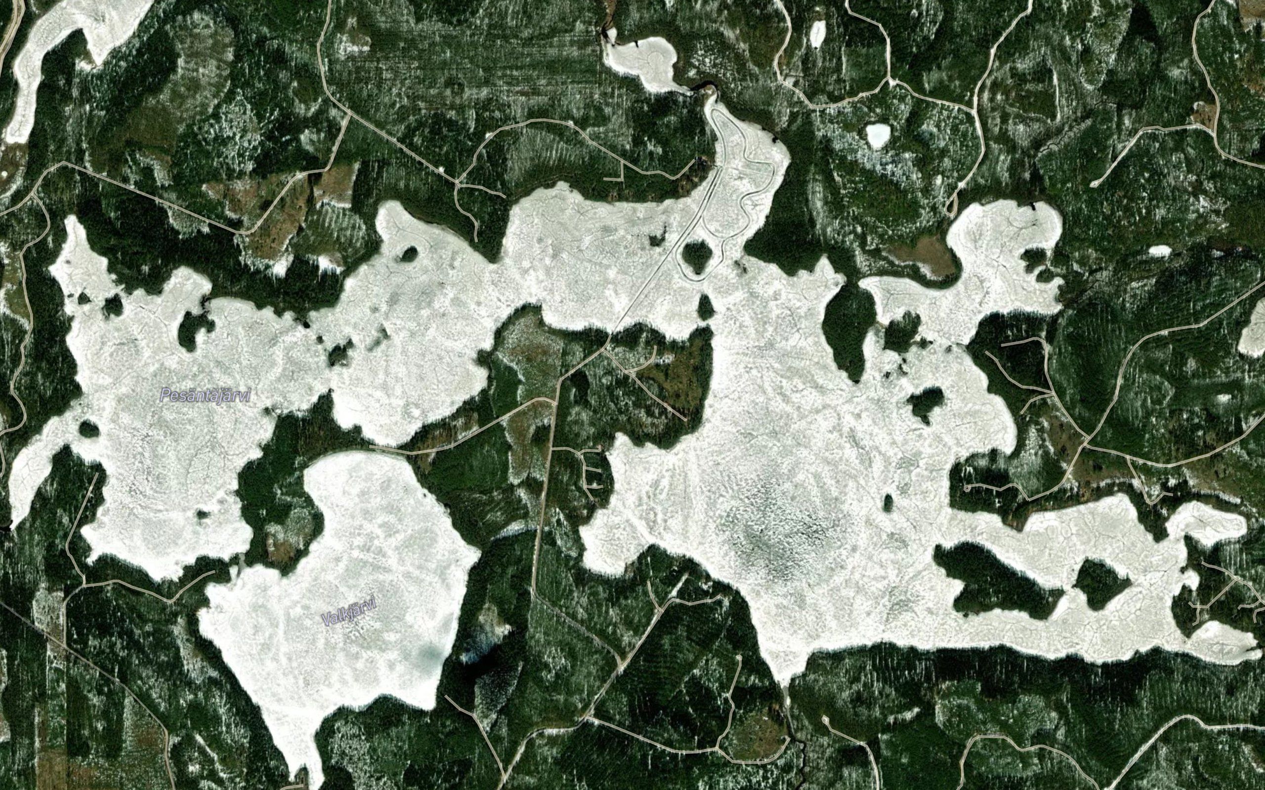 Loyhynselka