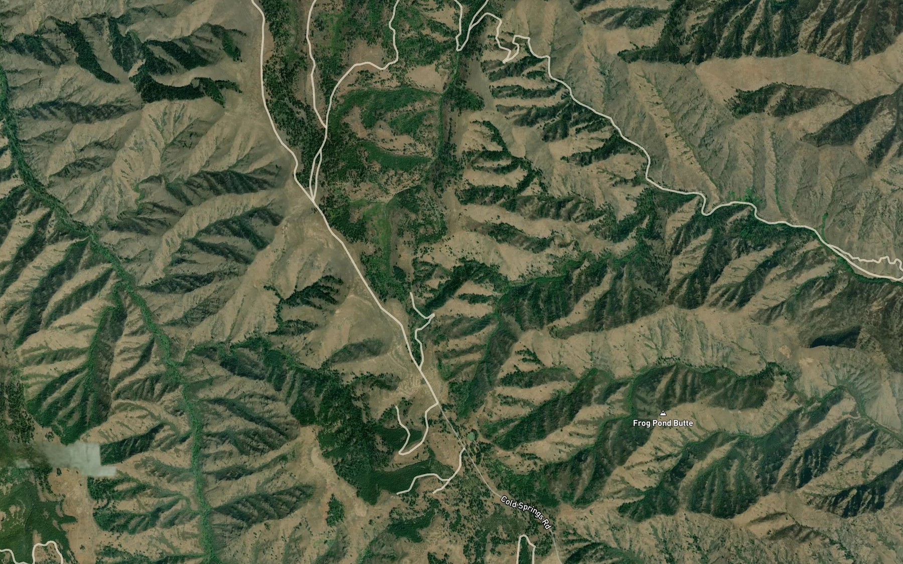 Satellite map of the Old Cold Spring