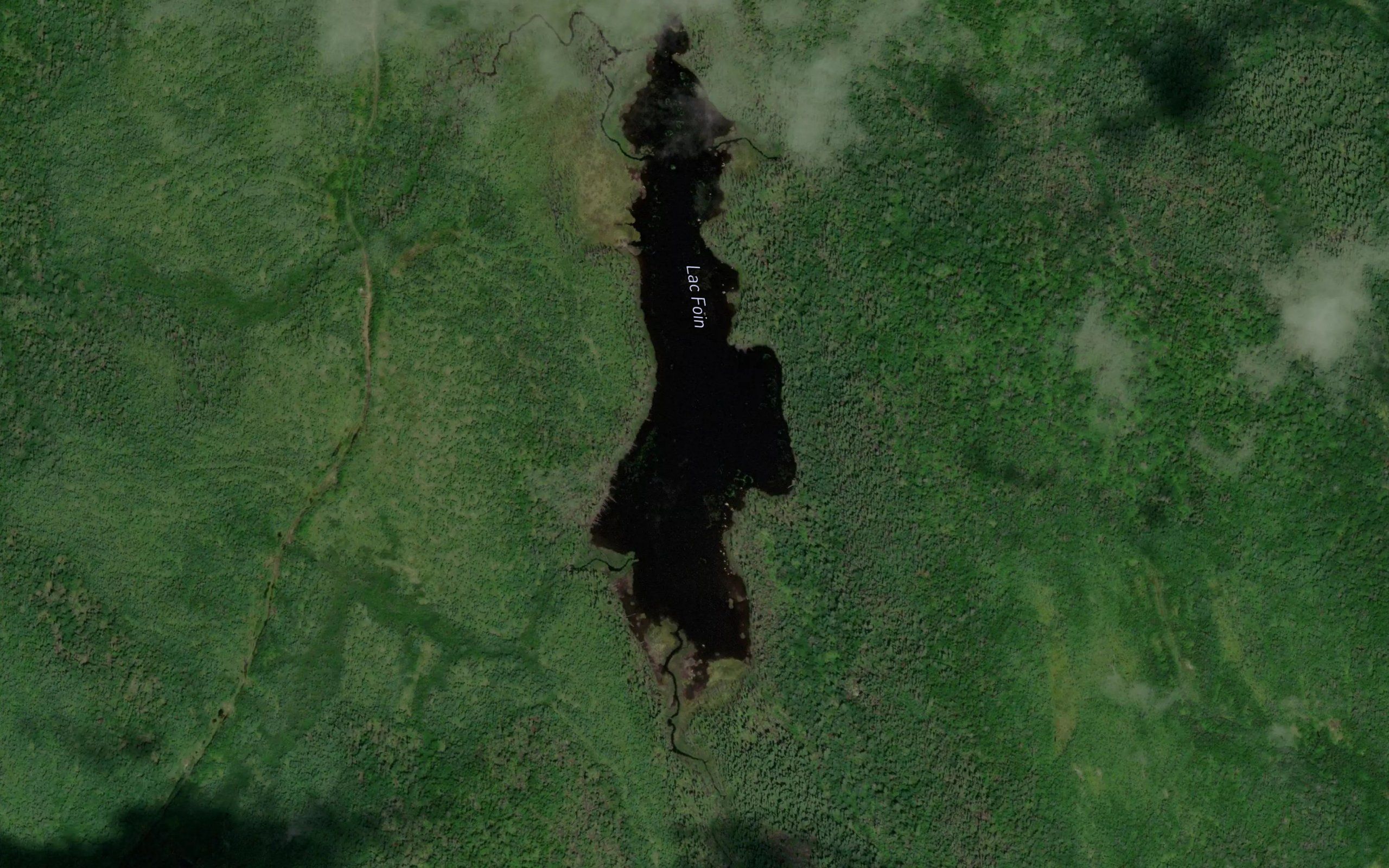 Lac Foin