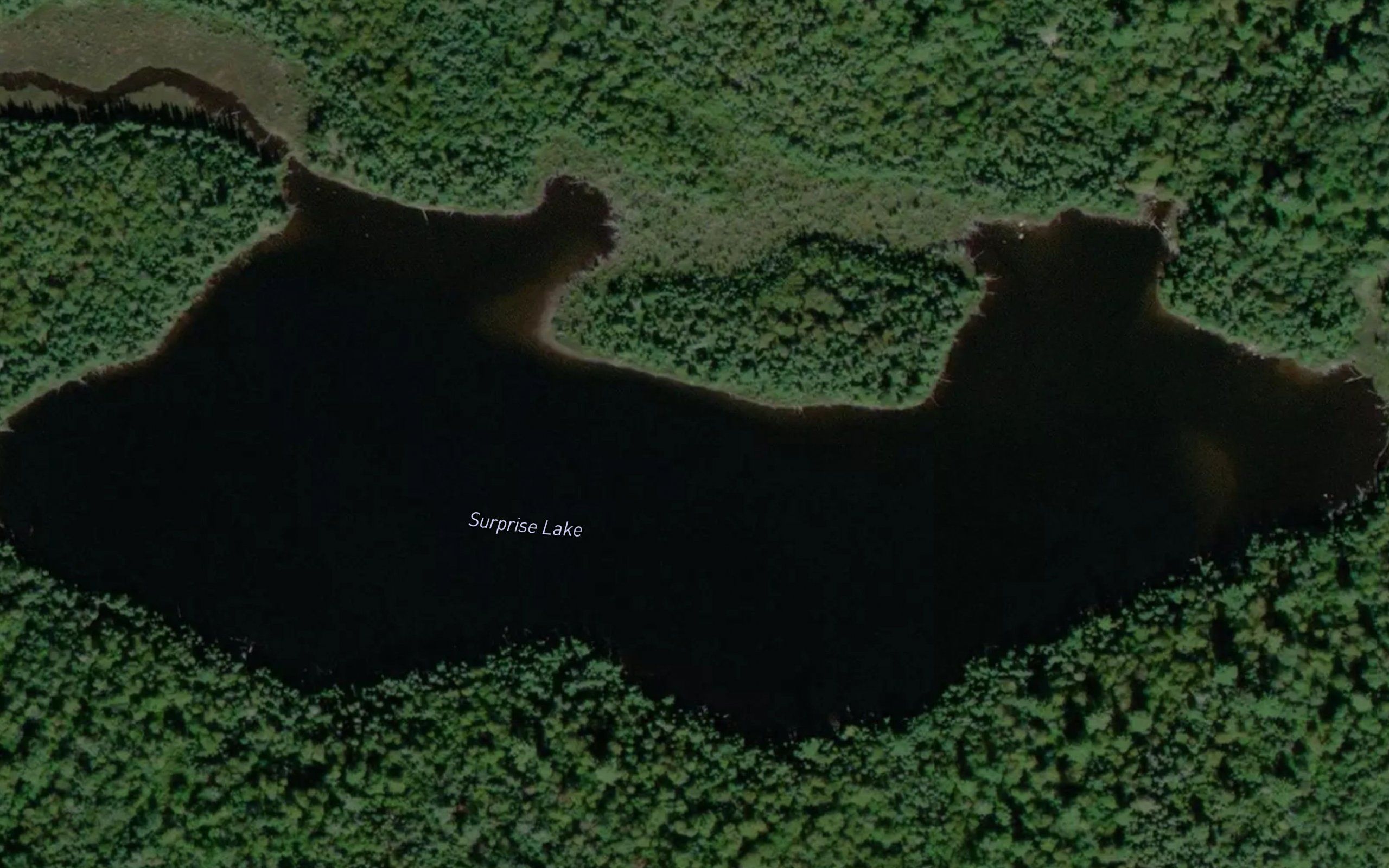 Surprise Lake