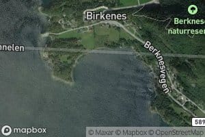 Berknesvika
