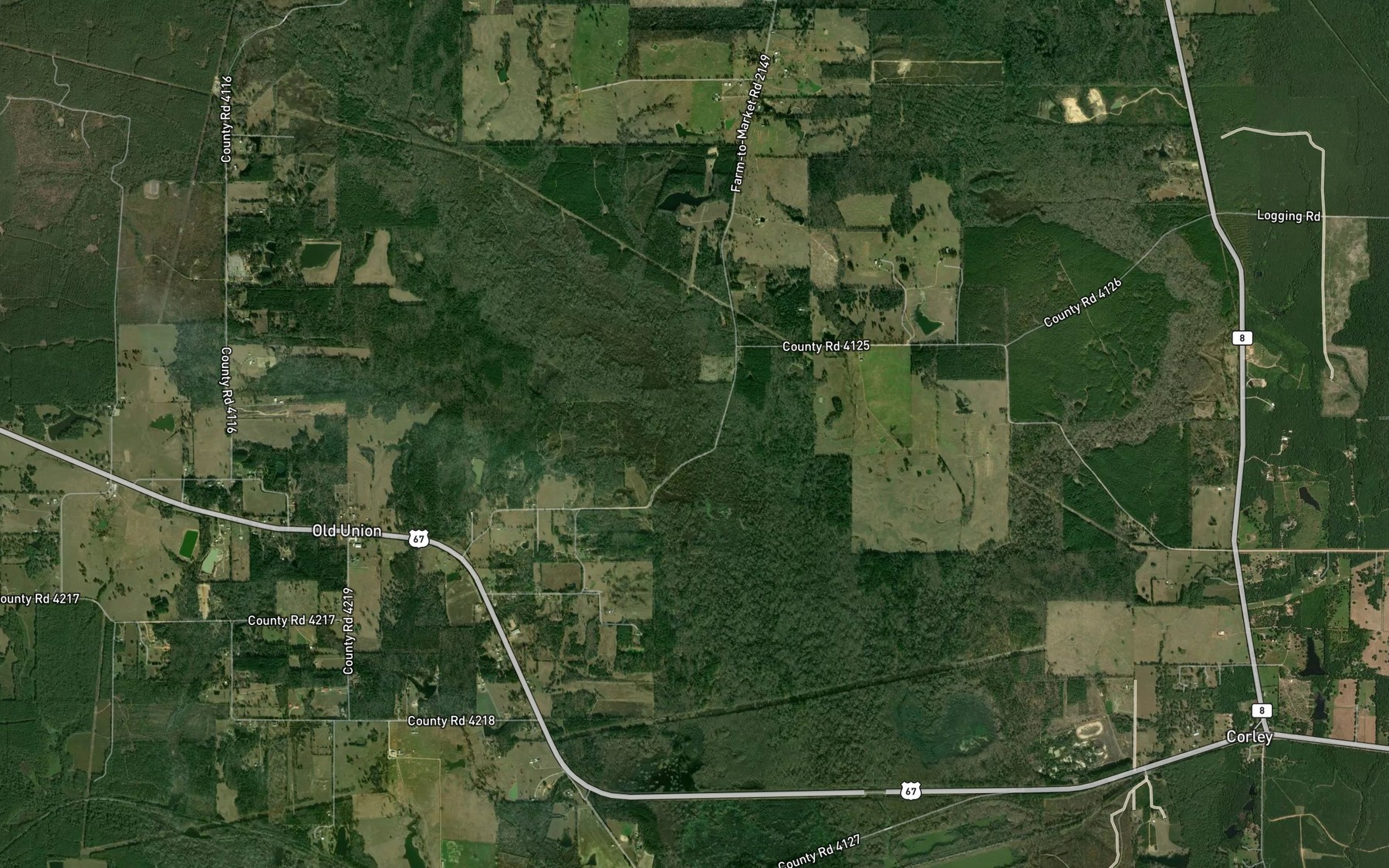 Satellite map of the Big Branch