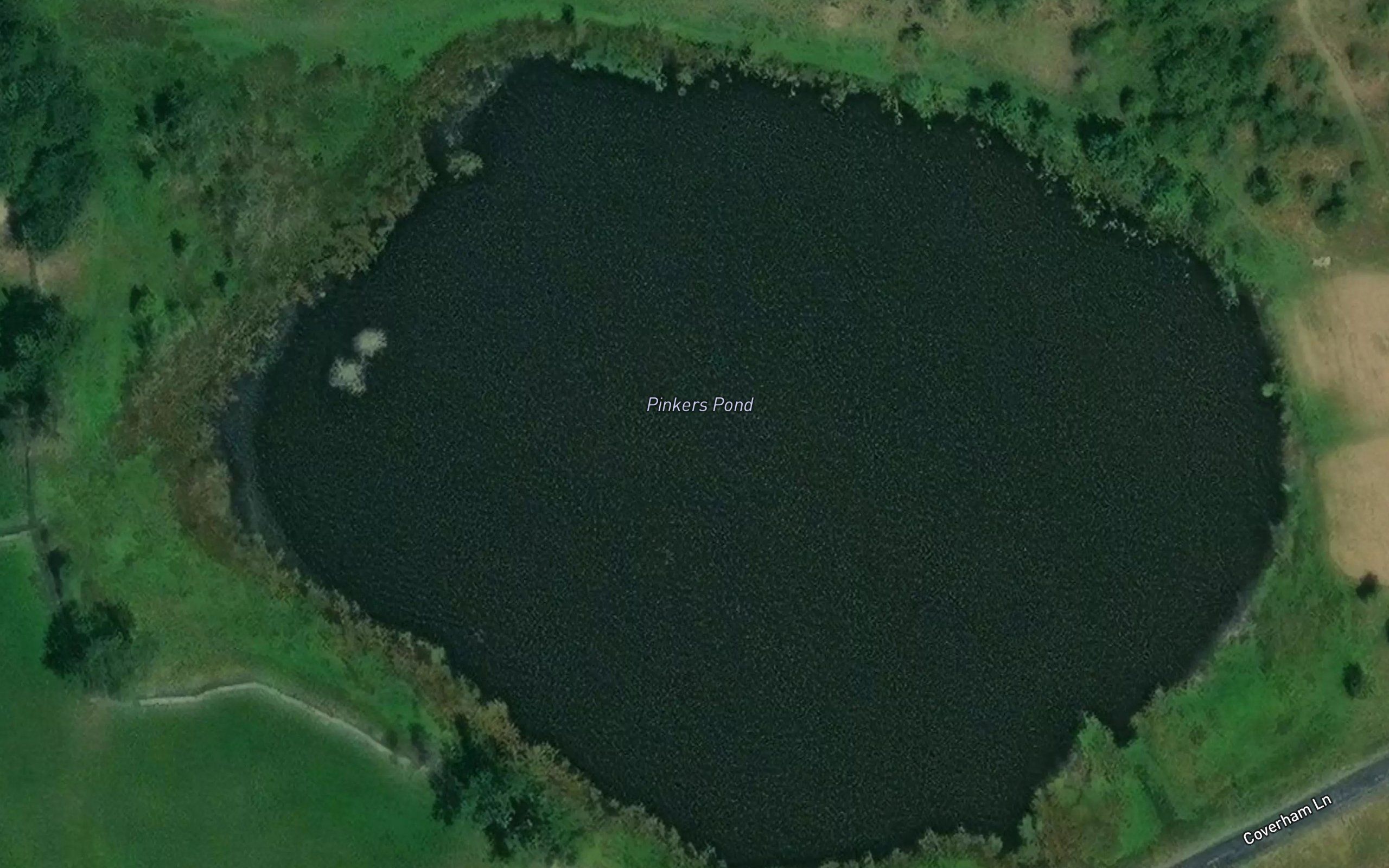 Pinker's Pond