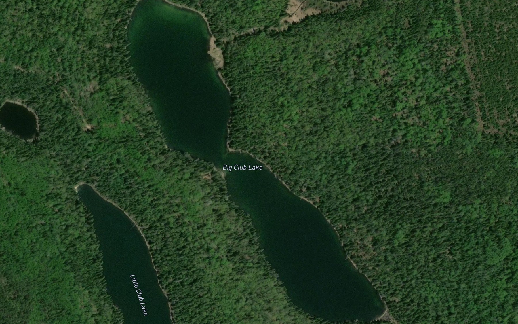 Satellite map of the Big Club Lake